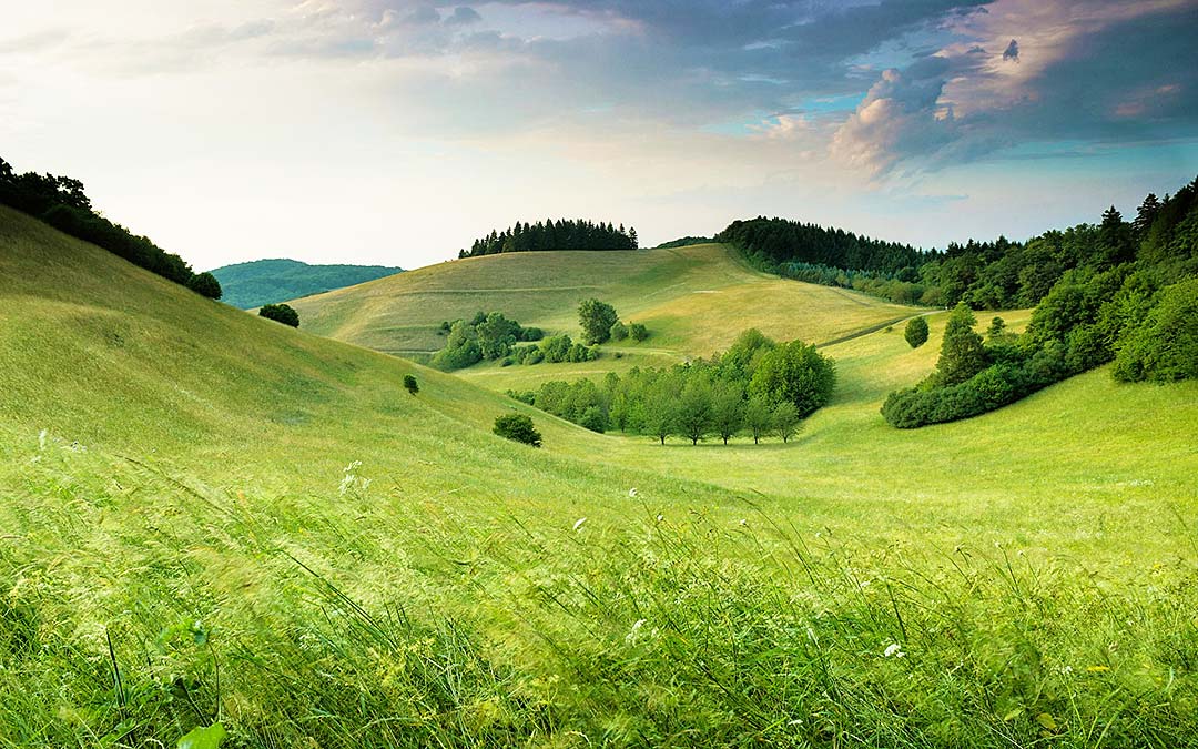landscape_1080px
